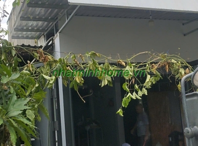 Cửa Gỗ Nhựa Composite Bền Đẹp Cho Ngôi Nhà Q2 | Nhật Minh Home