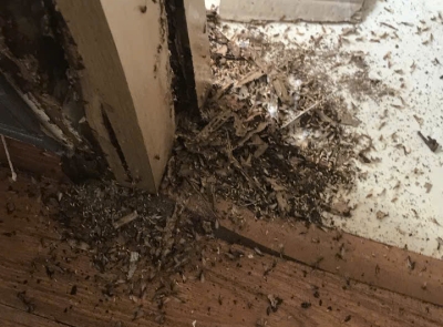 THAY KHUNG CỬA GỖ MỐI MỌT TẠI QUẬN 7 – GIẢI PHÁP AN TOÀN VÀ TRIỆT ĐỂ TỪ NHẬT MINH HOME