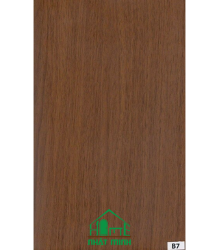 Cửa nhựa gỗ Composite ĐL NM-B118