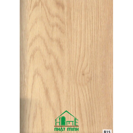 Cửa nhựa gỗ Composite ĐL NM-B123